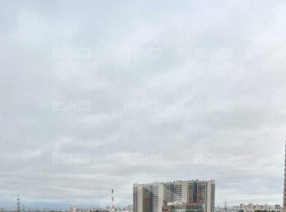 Продажа однокомнатной квартиры - поселок Парголово, Николая Рубцова улица, д.9 