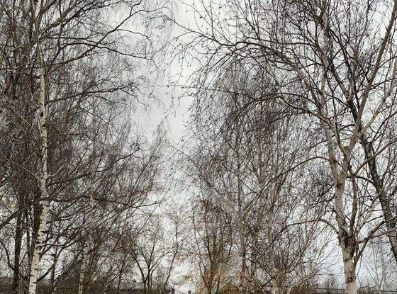 Продажа однокомнатной квартиры - Средний В.О. проспект, д.92 