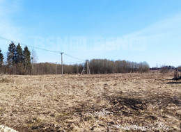 Продажа земельного участка - Ленинградская область, Гатчинский район, Луйсковицы д., Медовая ул., д.2 