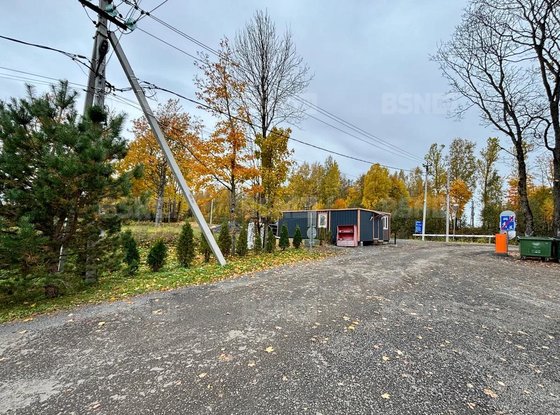 Продажа участка - Всеволожский район, Массив Скотное территория