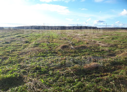 Продажа земельного участка - Ленинградская область, Гатчинский район, Большое Рейзино д. 