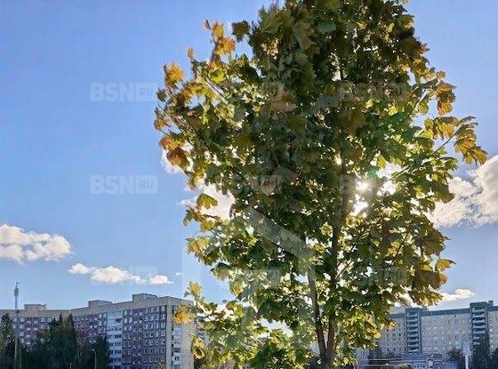 Продажа двухкомнатной квартиры - Королёва проспект, д.44, корп.1 