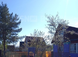 Продажа участка - Всеволожский р-н, массив Сады, снт. Дружба-2, аллея 4-я,