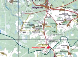 Продажа участка - Ломоносовский район, деревня Горки