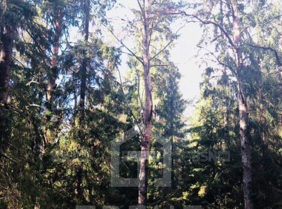 Продажа участка - поселок Солнечное, Солнечное п