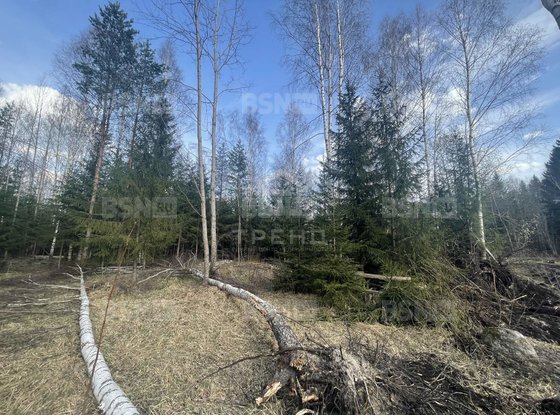 Продажа участка - Ленинградская область, Михайловское(Михайловка) территория снт