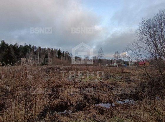 Продажа участка - Ленинградская область, Бригантина-2(Кобрино) территория снт