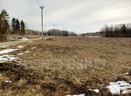 Продажа земельного участка - Ленинградская область, Гатчинский район, Луйсковицы д., Медовая ул., д.2 