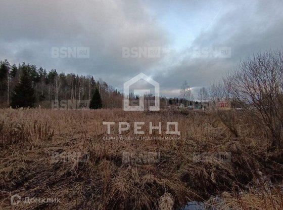 Продажа участка - Ленинградская область, Бригантина-2(Кобрино) территория снт