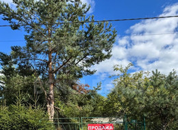 Продажа земельного участка - Ленинградская область, Всеволожский район, Дунай тер. СНТ, д.12 