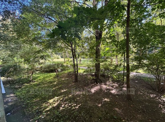 Продажа однокомнатной квартиры - Подвойского улица, д.17, корп.2 