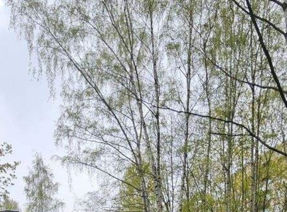 Продажа двухкомнатной квартиры - Славы проспект, д.40, корп.4 