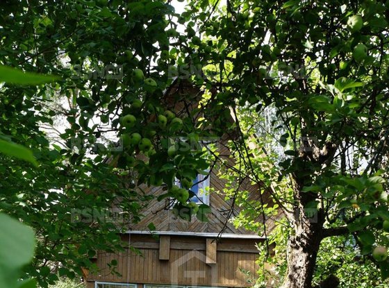 Продажа участка - городской поселок Вырица, Казанская улица