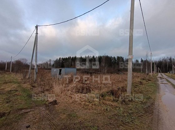 Продажа участка - Ленинградская область, Бригантина-2(Кобрино) территория снт
