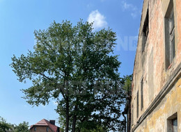 Продажа универсального помещения - Санкт-Петербург, Колпинский район, Усть-Ижора п., Колпинский, Шлиссельбургское ш., д.169 