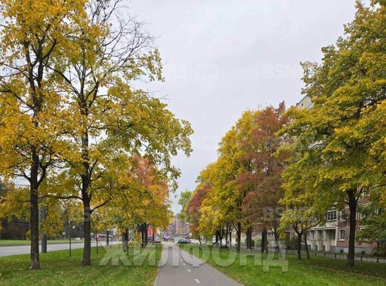 Продажа четырехкомнатной квартиры - Тихорецкий проспект, д.35 