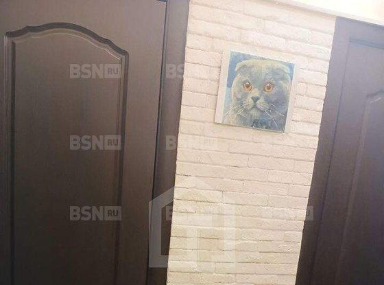 Продажа однокомнатной квартиры - деревня Новое Девяткино, Арсенальная улица, д.4 