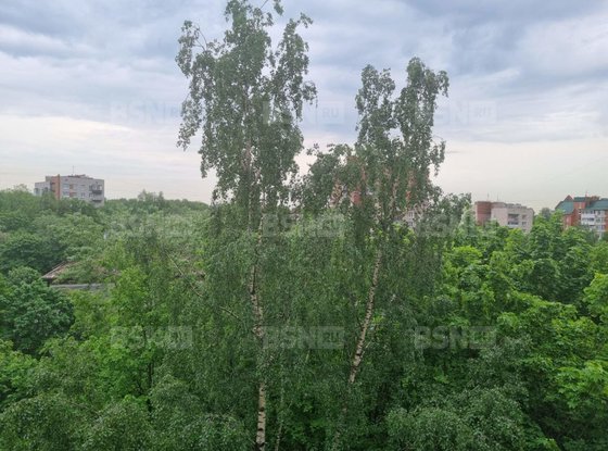 Аренда однокомнатной квартиры - Тореза проспект, д.102, корп.5 