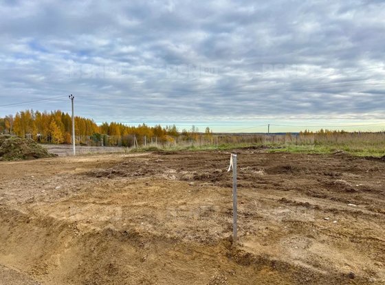 Продажа участка - Всеволожский район, Массив Скотное территория