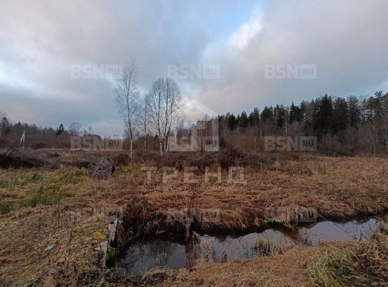 Продажа участка - Ленинградская область, Бригантина-2(Кобрино) территория снт