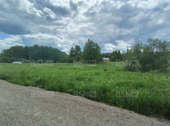 Продажа участка - деревня Хвойное, Хвойное д