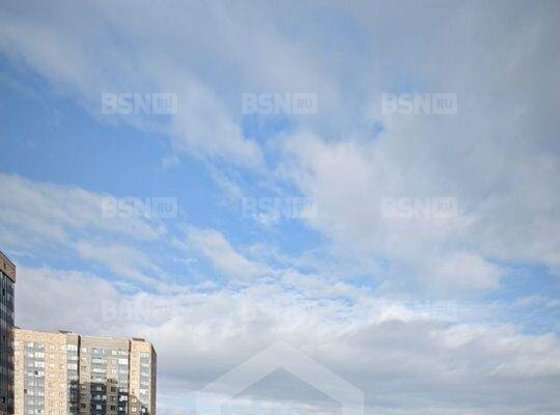 Продажа однокомнатной квартиры - поселок Парголово, Шишкина улица, д.299 