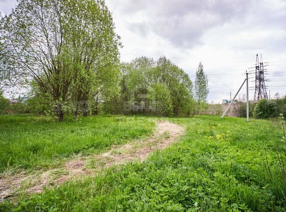 Продажа участка - поселок Петро-Славянка, Лесной проспект