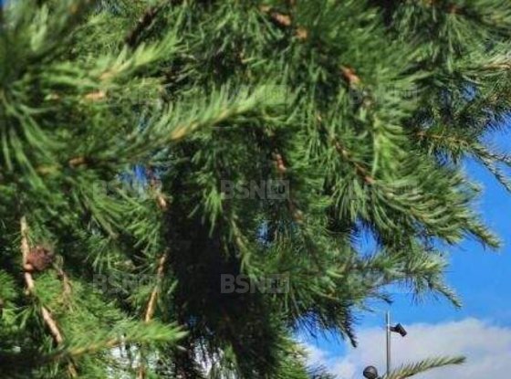 Продажа однокомнатной квартиры - Кораблестроителей улица, д.30 