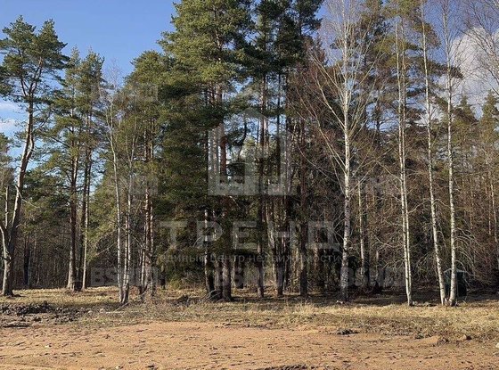 Продажа участка - поселок Солнечное, Солнечное п