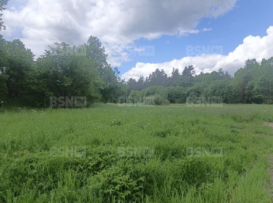 Продажа участка - деревня Хвойное, Хвойное д