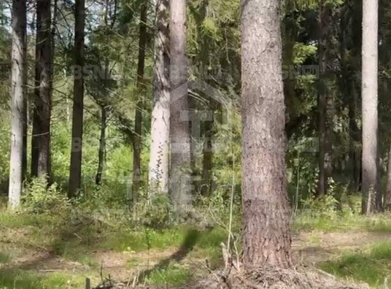 Продажа участка - поселок Солнечное, Солнечное п