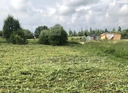 Продажа участка - Россия, Ленинградская область, Гатчинский район, Новая (Елизаветинское с/п) д.