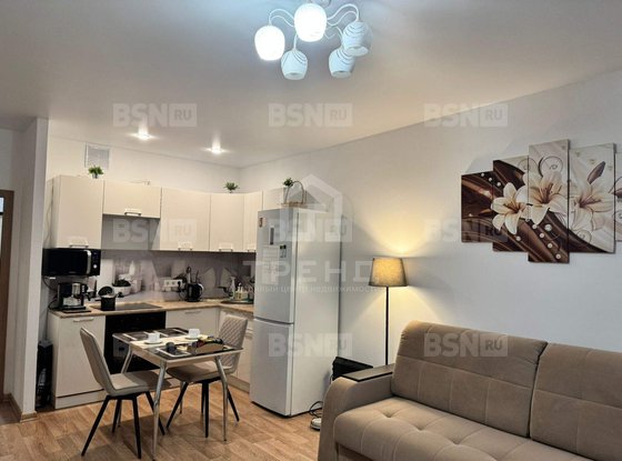 Продажа однокомнатной квартиры - Мурино, Екатерининская улица, д.7, корп.1 