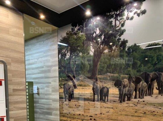 Продажа однокомнатной квартиры - поселок Парголово, Брюлловская улица, д.3, стр1 