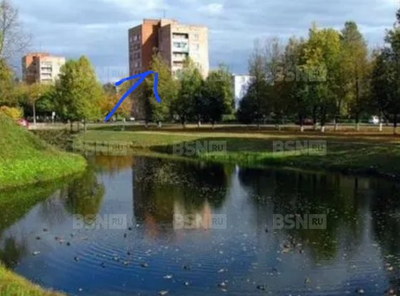 Аренда однокомнатной квартиры - Кингисепп, Жукова улица, д.10, а 