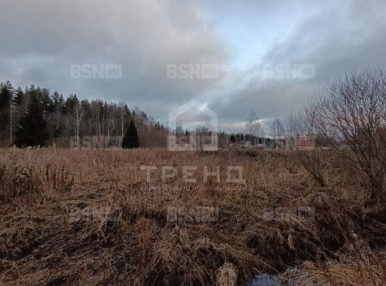 Продажа участка - Ленинградская область, Бригантина-2(Кобрино) территория снт