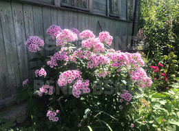 Продажа дачи - Ленинградская область, Гатчинский район, Гатчина г., Станционная ул.