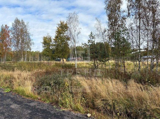 Продажа участка - деревня Никитилово, Никитилово д