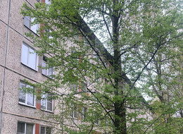 Продажа трехкомнатной квартиры - Санкт-Петербург, Колпинский район, Колпино г., Колпинский, Павловская ул., д.54 