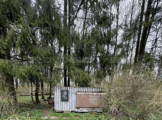 Продажа дома - деревня Даймище, Большой проспект, д.59