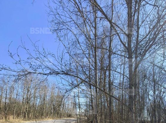 Продажа участка - Ивангород, Госпитальная улица