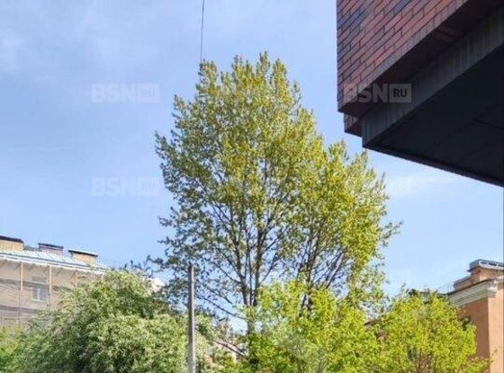 Продажа двухкомнатной квартиры - Нейшлотский переулок, д.7 
