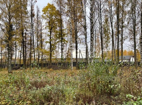 Продажа участка - Всеволожский район, Массив Скотное территория