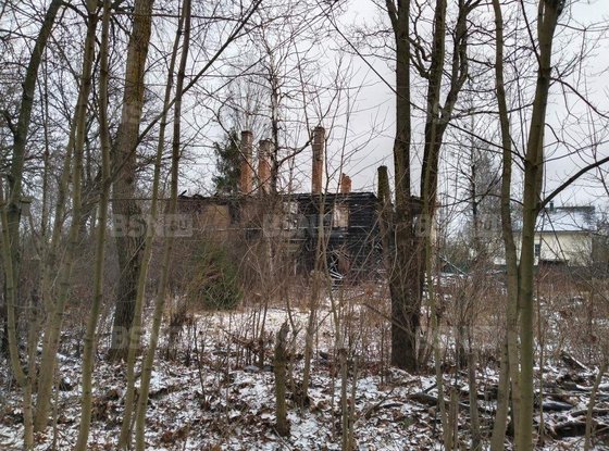 Продажа отдельно стоящего здания - Ломоносов, Лесная улица, д.38, литера А 