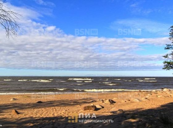 Продажа универсального помещения - поселок Лужки, Лужки п, д.1 