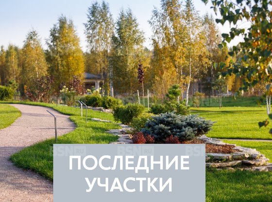 Продажа участка - коттеджный поселок Оазис Парк Репинское, Оазис Парк Репинское кп