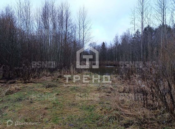 Продажа участка - Ленинградская область, Бригантина-2(Кобрино) территория снт