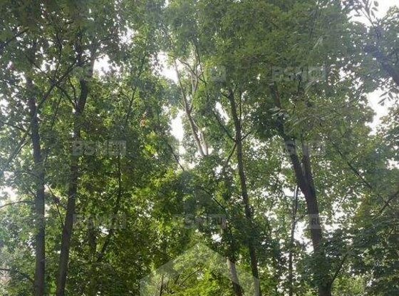 Продажа двухкомнатной квартиры - Бухарестская улица, д.9 