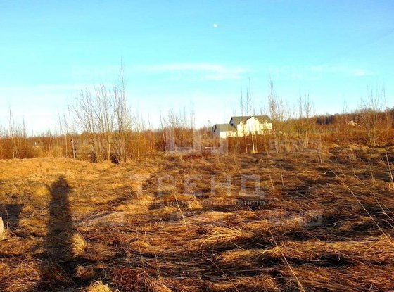 Продажа участка - Ленинградская область, ЖСК Булльупе территория