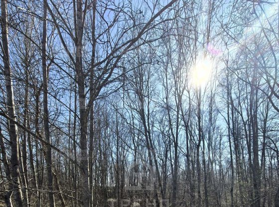 Продажа участка - Ивангород, Госпитальная улица